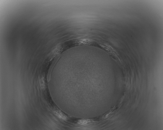 X0000061150520200511241834