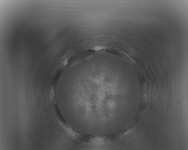 X0000061150523200511241834