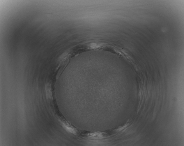 X0000061150524200511241834