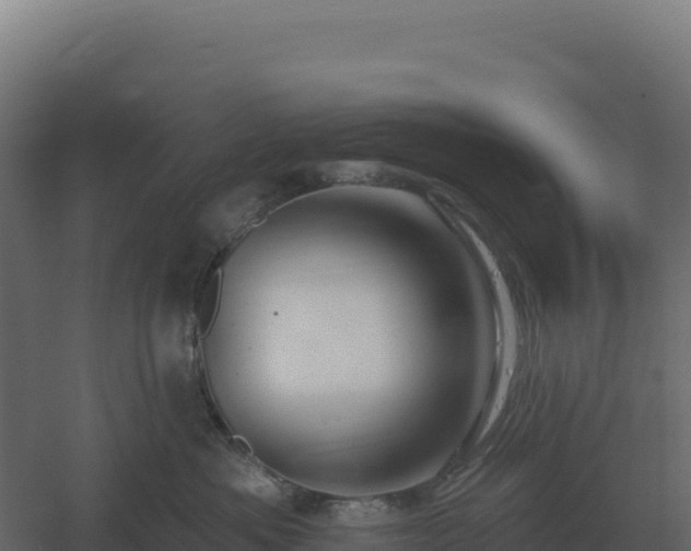 X0000061150525200511241834