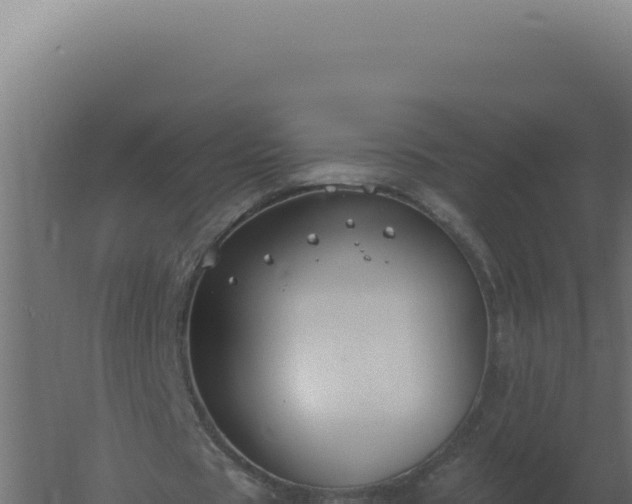 X0000061150529200511241833