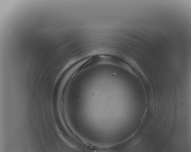 X0000061150530200511241833