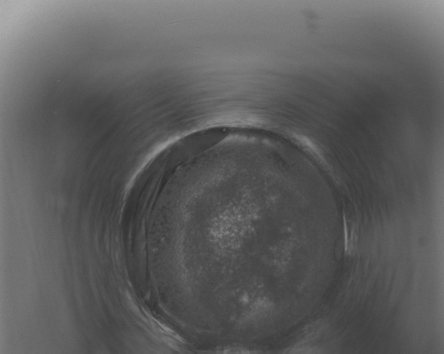 X0000061150531200511241833