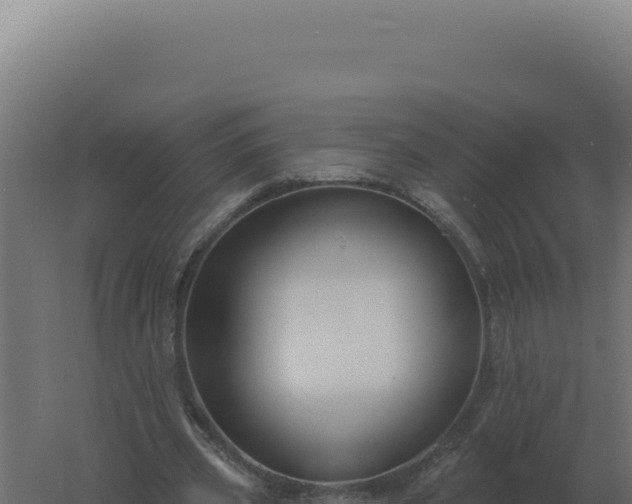 X0000061150533200511241833