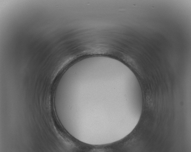 X0000061150534200511241833