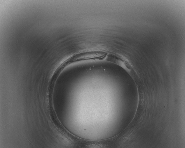 X0000061150535200511241833