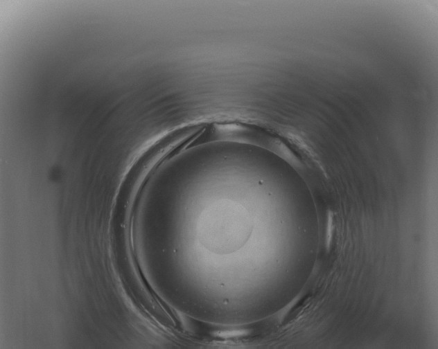 X0000061150536200511241833