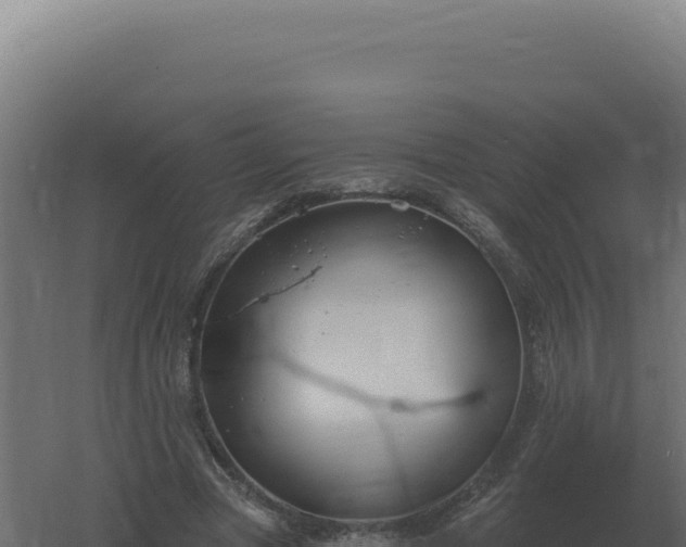 X0000061150537200511241833