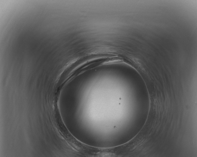 X0000061150539200511241833