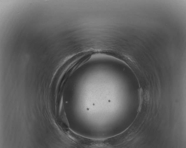 X0000061150540200511241833