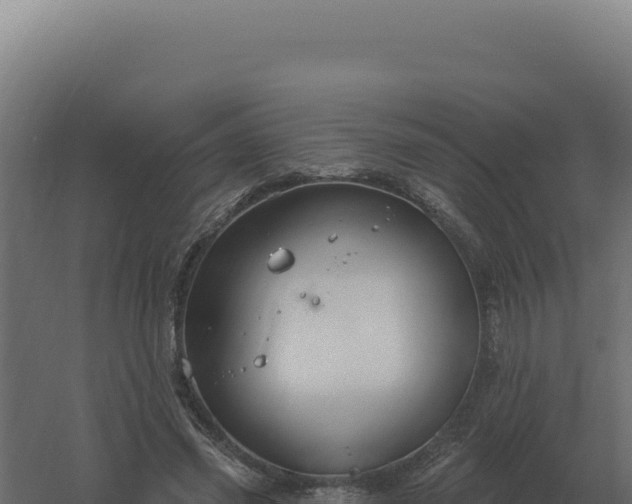 X0000061150541200511241833