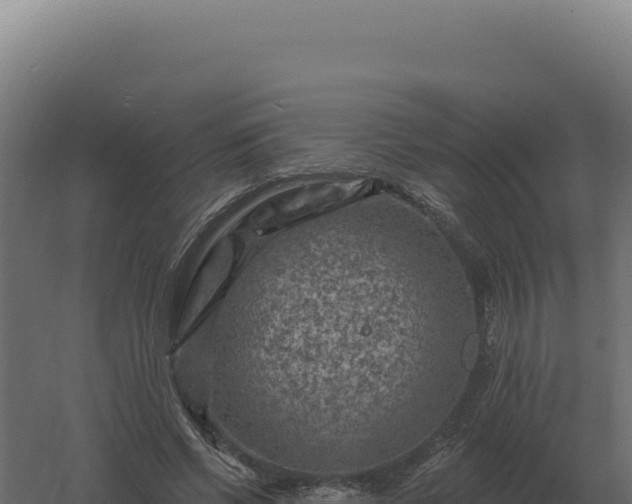 X0000061150542200511241833