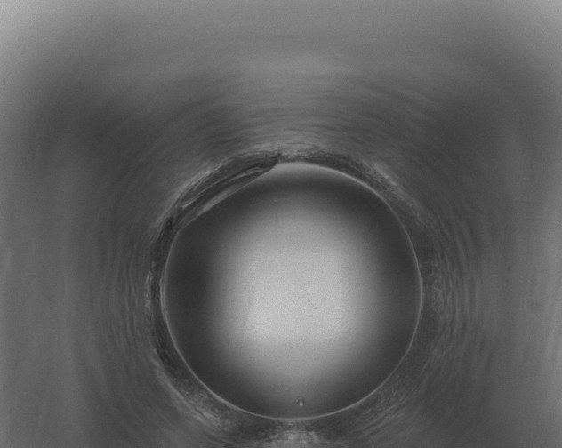 X0000061150543200511241833