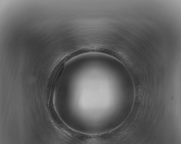 X0000061150544200511241834