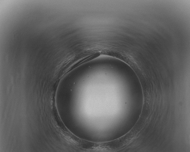 X0000061150545200511241834