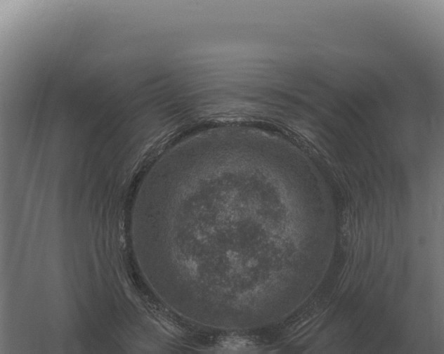 X0000061150547200511241834