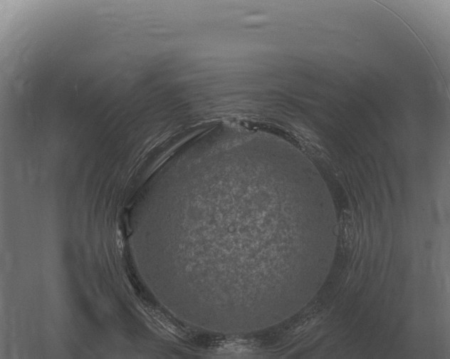 X0000061150550200511241834