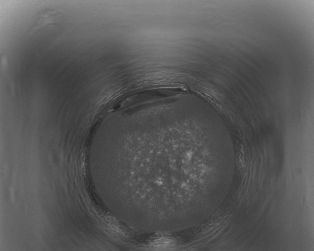 X0000061150551200511241834