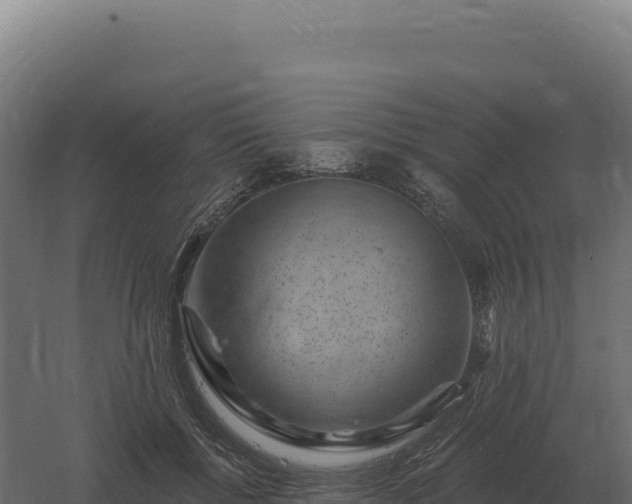 X0000061150552200511241834