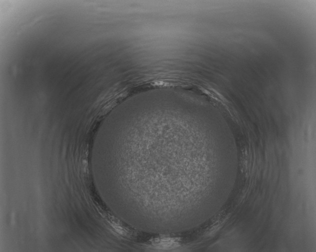 X0000061150553200511241834