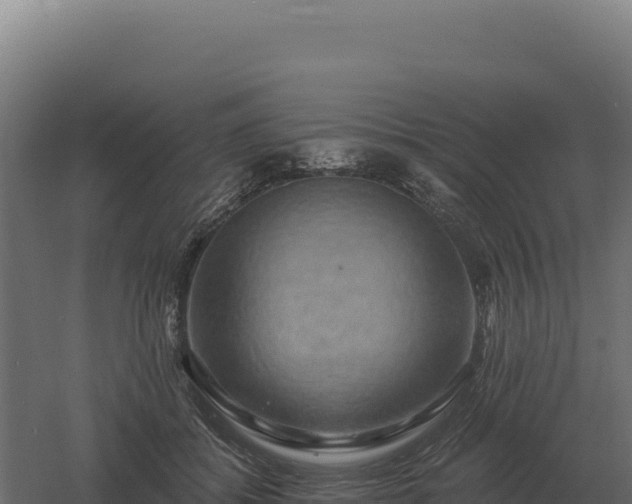 X0000061150556200511241834