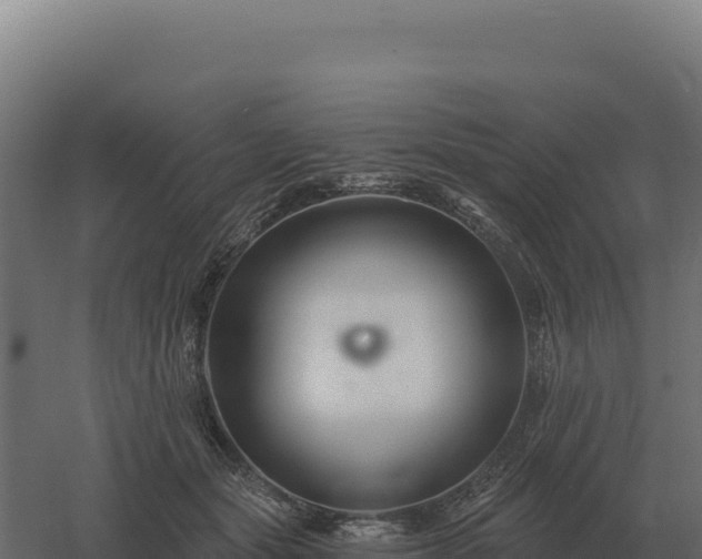 X0000061150557200511241834