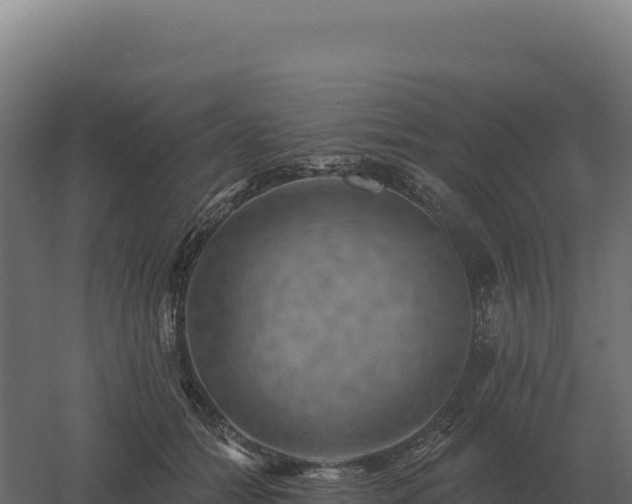 X0000061150558200511241834