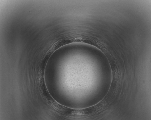 X0000061150559200511241834