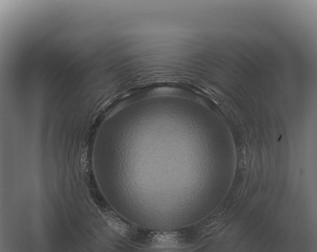 X0000061150560200511241834