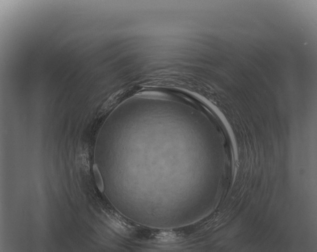 X0000061150562200511241834