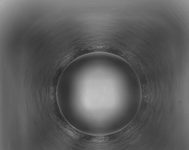 X0000061150563200511241834