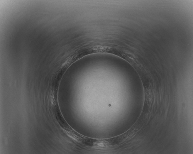 X0000061150564200511241834