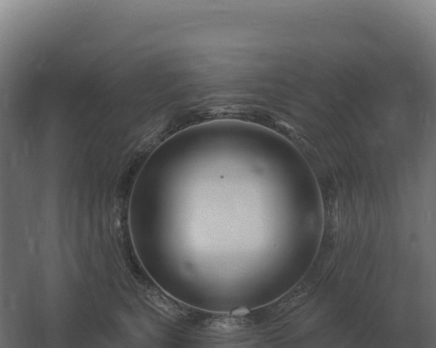 X0000061150567200511241834