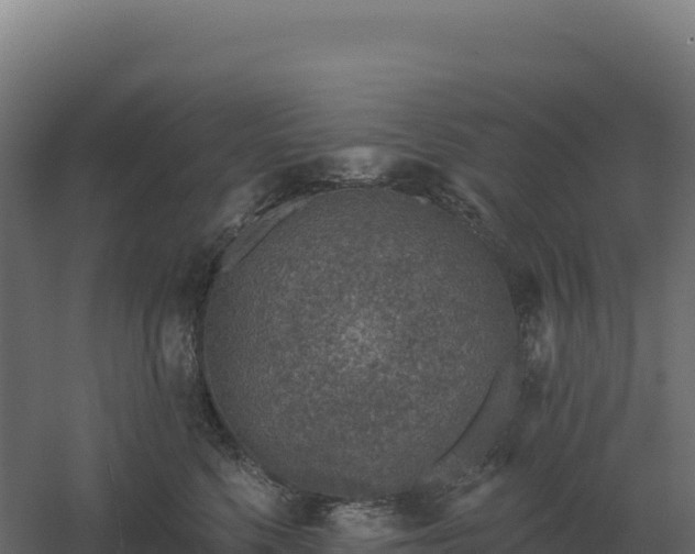 X0000061150568200511241834