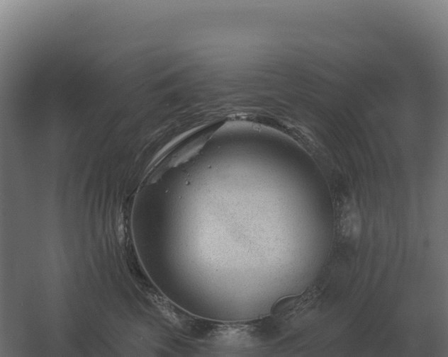 X0000061150569200511241834