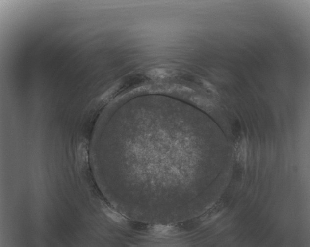 X0000061150570200511241834