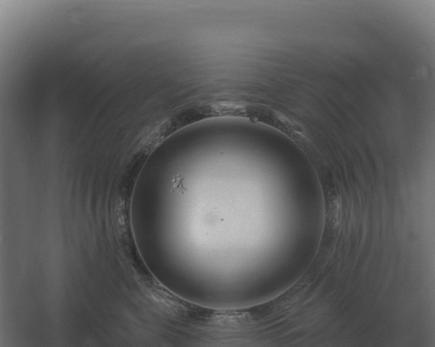 X0000061150571200511241834