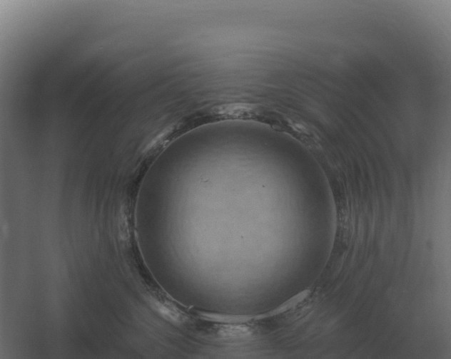 X0000061150572200511241834