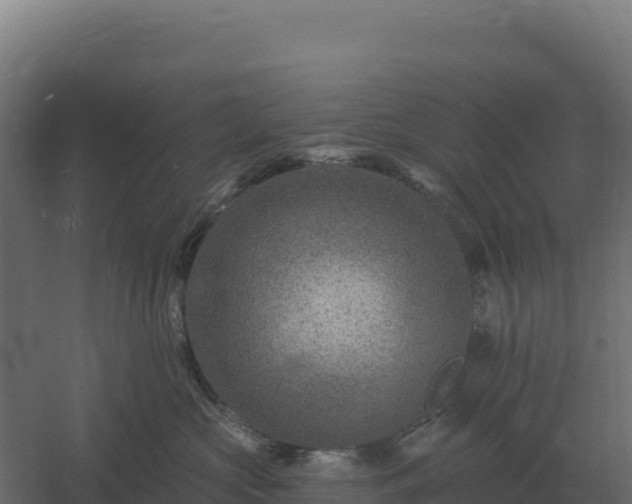 X0000061150573200511241834