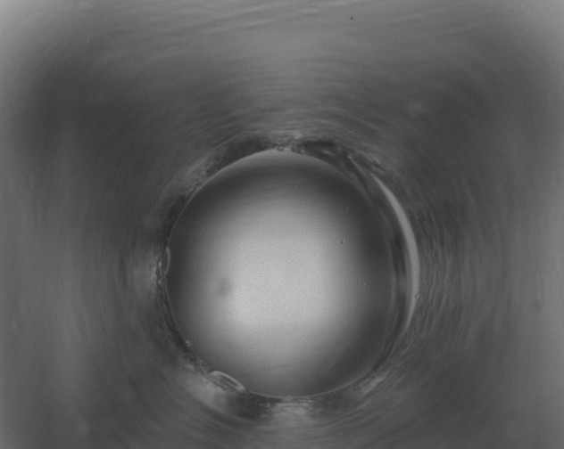 X0000061150574200511241834