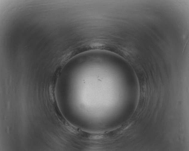 X0000061150575200511241834