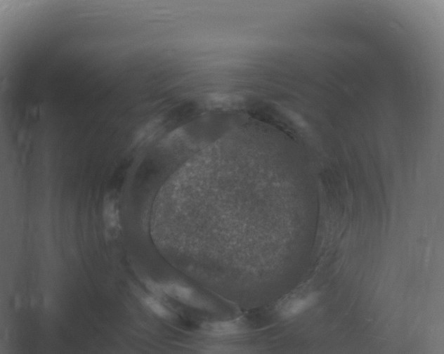 X0000061150576200511241834