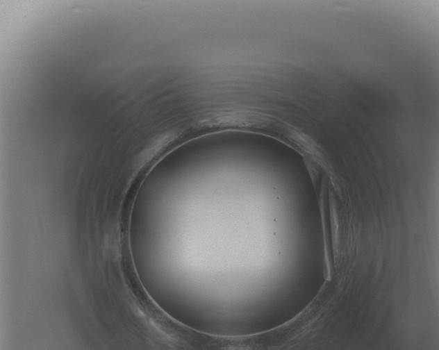 X0000061150578200511241833