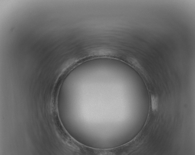 X0000061150579200511241833