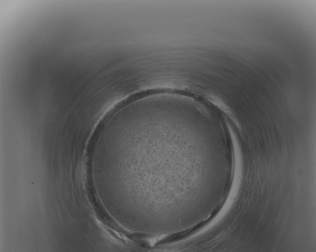 X0000061150580200511241833