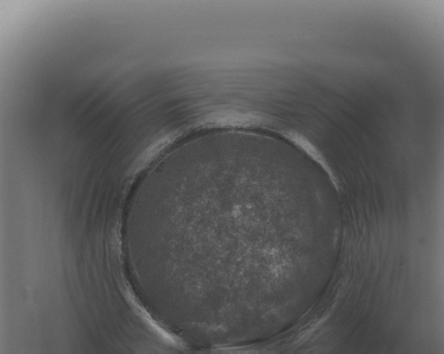 X0000061150581200511241833