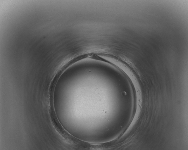 X0000061150582200511241833