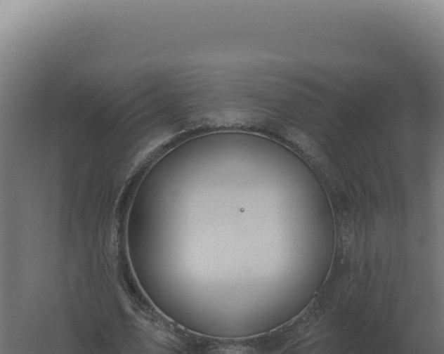 X0000061150583200511241833