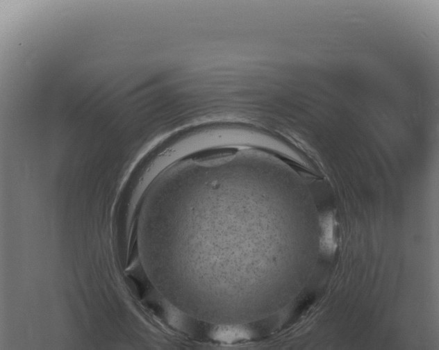 X0000061150584200511241833