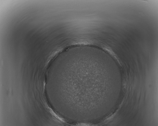 X0000061150585200511241833